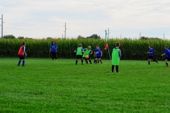 Coneys001