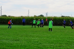 Coneys002
