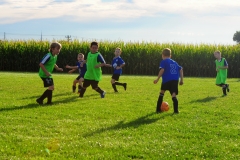 Coneys019