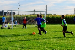 Coneys028