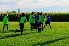 Coneys030