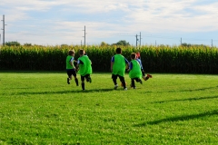 Coneys031