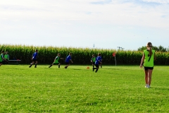 Coneys035