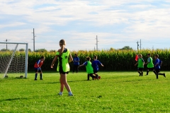 Coneys037