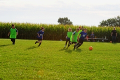 Coneys043