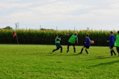 Coneys046