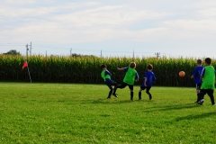 Coneys047