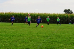 Coneys048