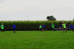 Coneys069