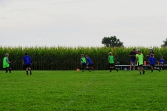 Coneys070