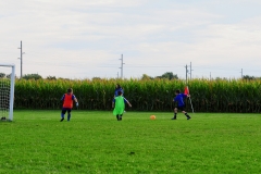 Coneys071