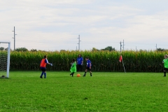 Coneys074