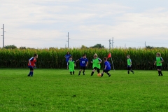 Coneys078