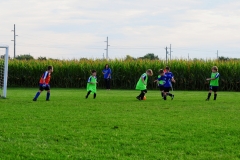 Coneys082