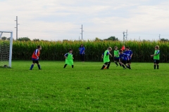 Coneys083