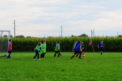 Coneys095