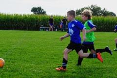 Coneys119