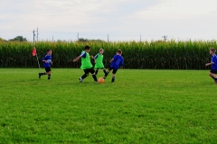 Coneys129