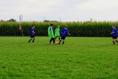 Coneys130