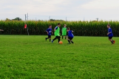 Coneys131