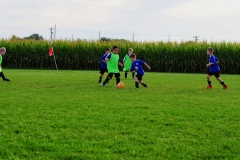 Coneys132