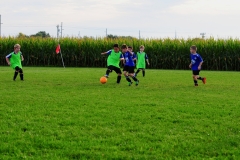 Coneys134