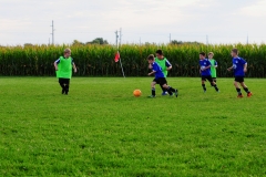 Coneys135