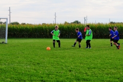 Coneys138