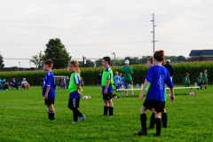 Coneys140
