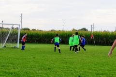 Coneys143