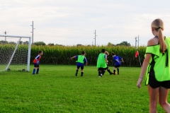 Coneys144