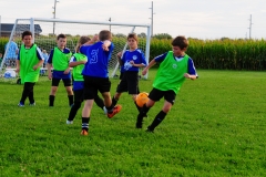 Coneys151