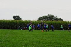 Coneys162