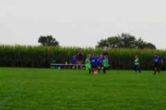 Coneys163