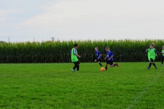 Coneys166