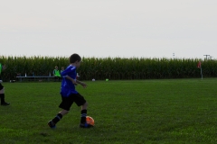 Coneys181