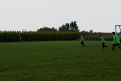 Coneys186