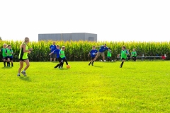 Coneys202