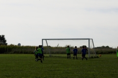 Coneys224
