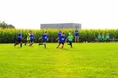 Coneys232