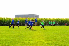 Coneys233