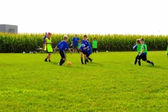 Coneys236