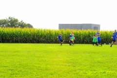 Coneys246