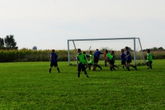 Coneys261