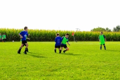 Coneys272