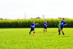 Coneys281