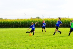Coneys282