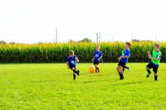 Coneys283