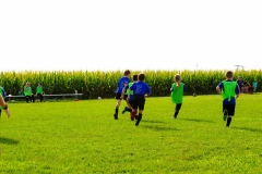 Coneys296