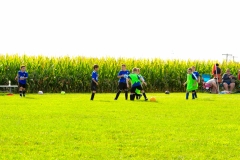 Coneys298